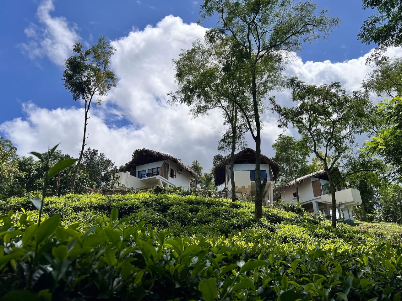Tilagaon Eco Village